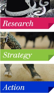 Research, Strategy, Action